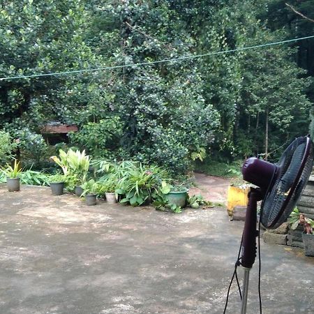 Kanneliya Eco Garden Hotel Koralegama Buitenkant foto