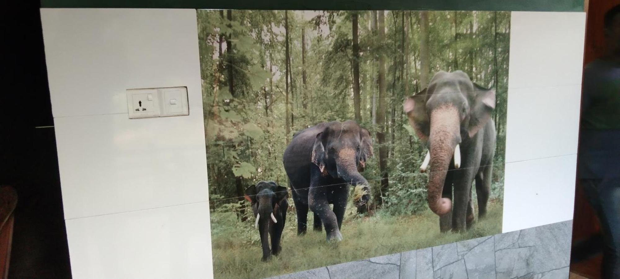 Kanneliya Eco Garden Hotel Koralegama Buitenkant foto